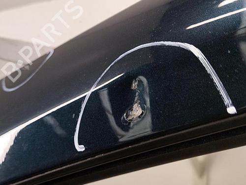 Left front door RENAULT LAGUNA II (BG0/1_) 1.9 dCi (BG08, BG0G) | BP22858080C2 