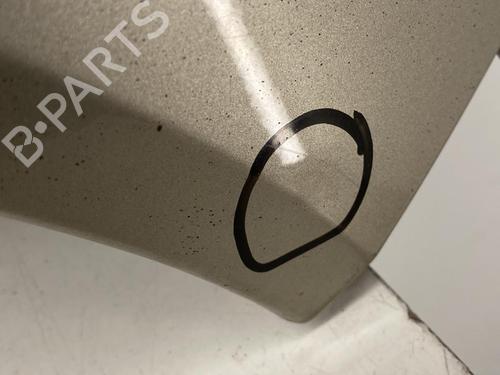 Right front fenders NISSAN MICRA III (K12) 1.2 16V | BP22856639C42 