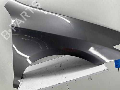 Used Right front fenders RENAULT LAGUNA Coupe (DT0/1) 2.0 dCi (DT01, DT08, DT09, DT0K, DT12, DT1C, DT1D, DT1M,... (150 hp) 29299499