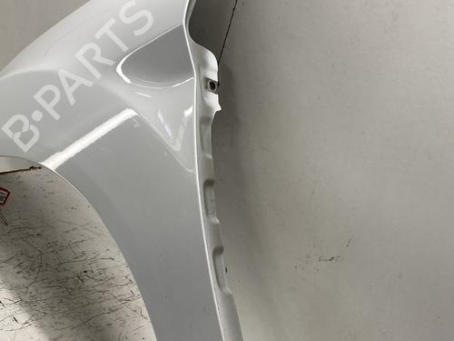Left front fenders FORD FIESTA VI (CB1, CCN) 1.25 | BP28015773C41 