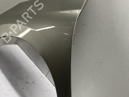 Left front fenders PEUGEOT 207 (WA_, WC_) 1.4 16V | BP29299458C41 