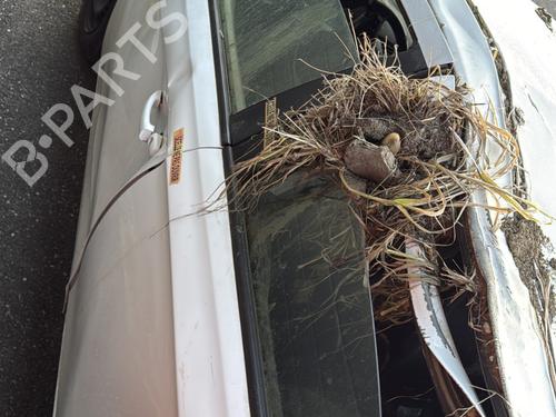 Alternator OPEL CORSA E (X15) 1.0 (08, 68) | BP30197801M7  - Image 10