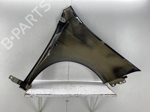 Left front fenders FIAT BRAVO II (198_) 1.6 D Multijet (198AXL1B) | BP32080403C41