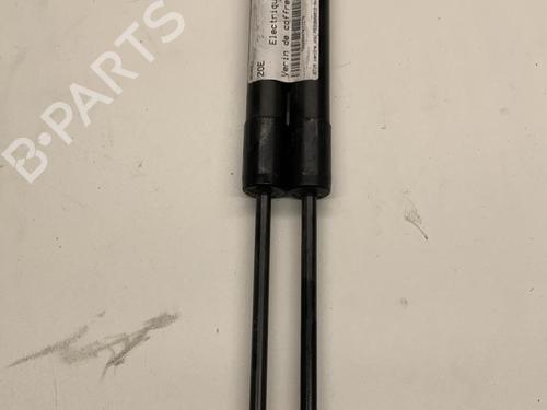 Tailgate lift support RENAULT ZOE (BFM_) ZOE | BP22855511C138