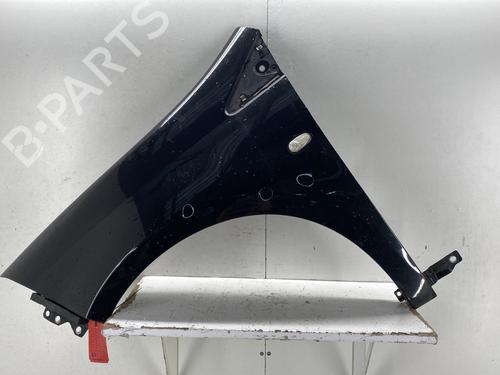 Left front fenders FIAT BRAVO II (198_) 1.6 D Multijet (198AXL1B) | BP32080403C41