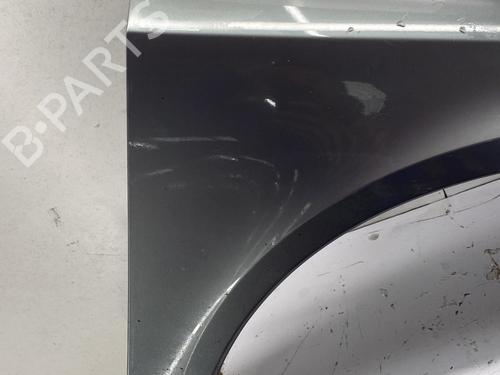 Right front fenders RENAULT LAGUNA II (BG0/1_) 1.9 dCi (BG1A, BG1W, BG0G) | BP29845282C42 