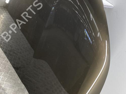 Hood CITROËN DS4 (NX_) 1.6 HDi 110 | BP29529017C1 