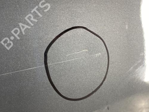 Right front door VW PASSAT B6 Variant (3C5) 1.9 TDI | BP22855648C3 