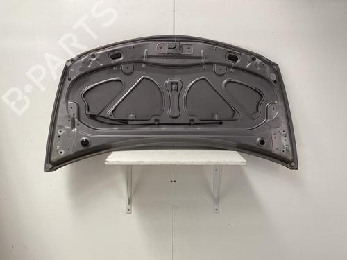Hood RENAULT CLIO III (BR0/1, CR0/1) 1.2 16V (BR0P, CR0P) | BP22855156C1 
