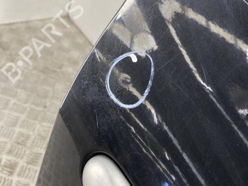 Right front door RENAULT CLIO III (BR0/1, CR0/1) 1.5 dCi (C/BR0G, C/BR1G) | BP24453407C3 