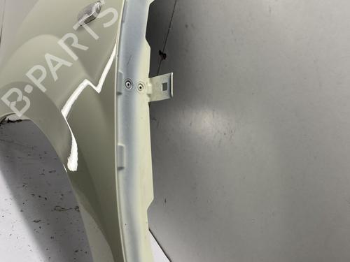 Left front fenders RENAULT TWINGO II (CN0_) 1.2 16V (CN04, CN0B) | BP29529033C41 