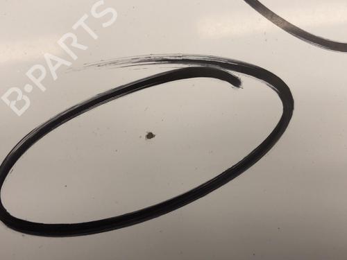 Used Hood CITROËN BERLINGO / BERLINGO FIRST Box Body/MPV (M_) 1.6 HDI 75 (MB9HW) (75 hp) 22852396