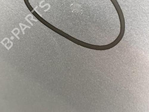 Left rear door RENAULT CLIO III (BR0/1, CR0/1) 1.5 dCi (C/BR0G, C/BR1G) | BP22851139C4 