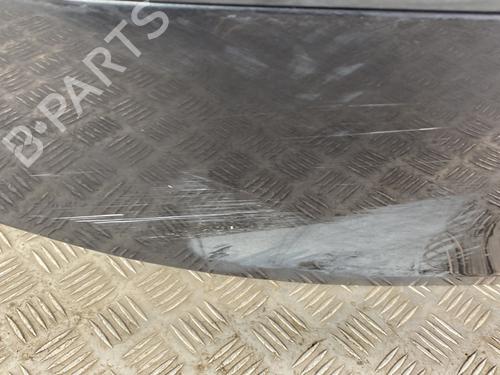 Right rear door RENAULT CLIO III (BR0/1, CR0/1) 1.2 16V (BR0P, CR0P) | BP29529059C5 