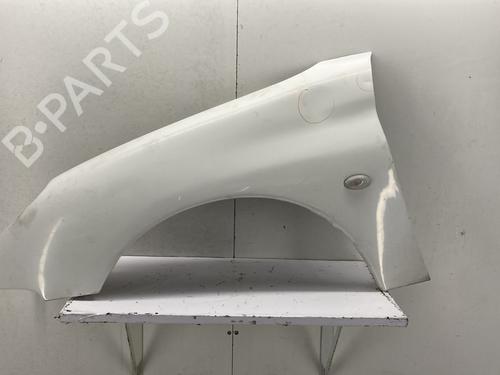 Left front fenders PEUGEOT 206 SW (2E/K) 2.0 HDi | BP29529115C41 