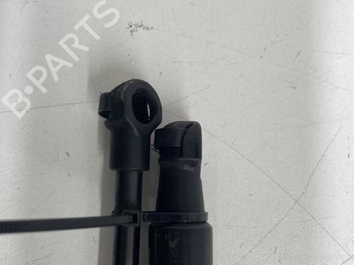 tailgate-lift-support-renault-scenic-iv-j9_-2016-2017-2018-2019-2020-2021-2022-25910521 main image