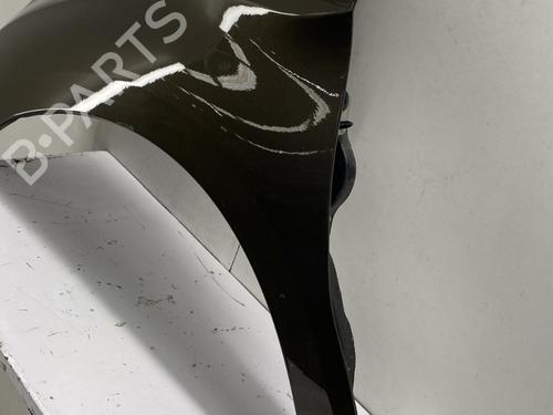 Left front fenders CITROËN DS4 (NX_) 1.6 HDi 110 | BP29529015C41 