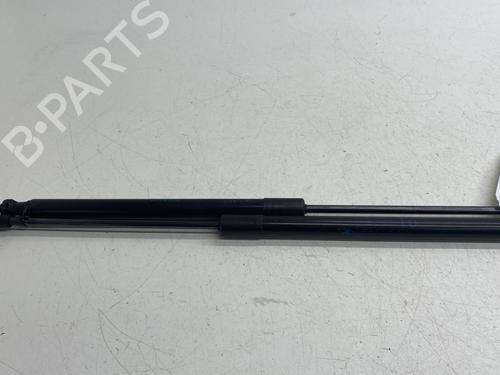 Used Tailgate lift support RENAULT SCÉNIC IV (J9_) 1.2 TCe 115 (115 hp) 25910521