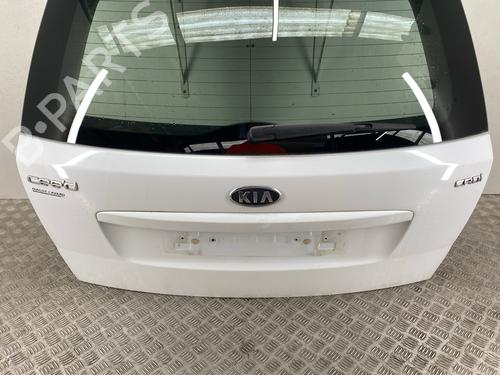 Used Tailgate Tailgate 38764018 38764018