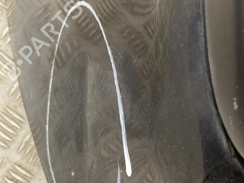 Left rear door RENAULT CLIO III (BR0/1, CR0/1) 1.5 dCi (C/BR0G, C/BR1G) | BP24453406C4 