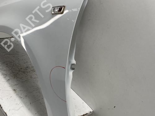 Left front fenders OPEL CORSA D (S07) 1.2 (L08, L68) | BP26388514C41 