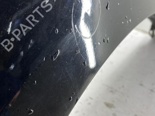 Left front fenders FIAT BRAVO II (198_) 1.6 D Multijet (198AXL1B) | BP32080403C41