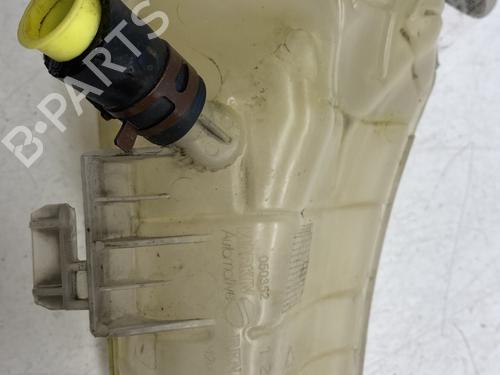 Expansion tank RENAULT KANGOO Express (FW0/1_) 1.5 dCi 85 (FW0K, FW0L, FW0B) | BP22860339C120 