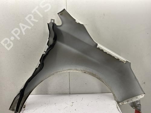 Left front fenders CITROËN C4 II (NC_) 1.6 HDi 90 | BP29375471C41 