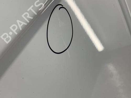 Right tailgate FORD TRANSIT CONNECT (P65_, P70_, P80_) 1.8 Di | BP22853253C77 