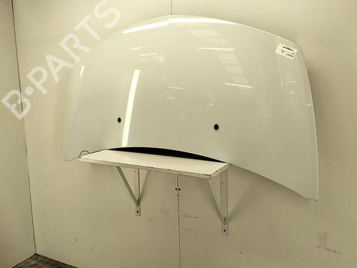 Hood RENAULT CLIO III (BR0/1, CR0/1) 1.5 dCi (C/BR0G, C/BR1G) | BP22850134C1 