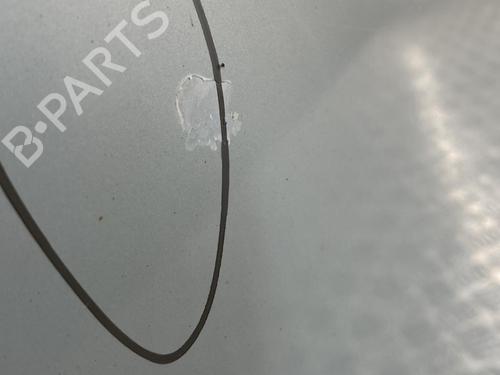 Hood CITROËN XSARA (N1) 1.9 D | BP22849986C1 