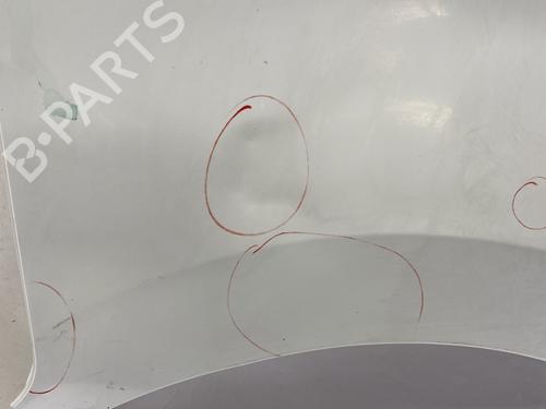 Right front fenders OPEL MOVANO B Van (X62) 2.3 CDTI FWD (FV) | BP29139149C42 