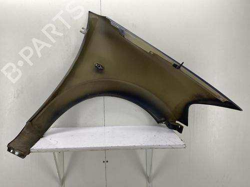 Left front fenders CITROËN C3 I (FC_, FN_) 1.4 16V | BP22850474C41 