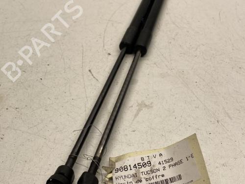 Used Tailgate lift support HYUNDAI TUCSON (TL, TLE) 1.7 CRDi (116 hp) 22861582