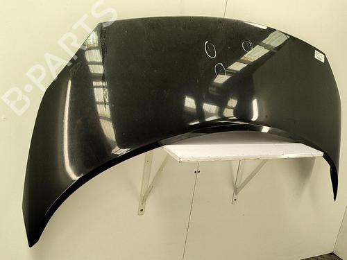 Hood RENAULT SCÉNIC II (JM0/1_) 1.6 (JM0C, JM0J, JM1B) | BP22856495C1 