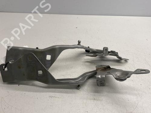 Hinge/Door check strap RENAULT SCÉNIC IV (J9_) 1.2 TCe 115 | BP26683707C146 