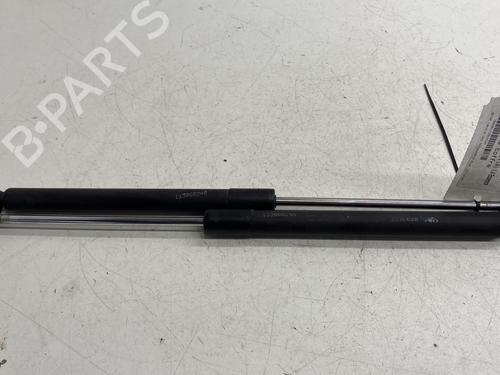 Used Tailgate lift support RENAULT CLIO III (BR0/1, CR0/1) 1.4 16V (98 hp) 29529086