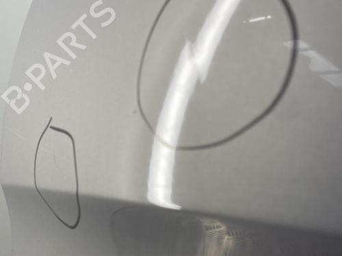 Left front door CITROËN XSARA PICASSO (N68) 2.0 HDi | BP22849596C2 