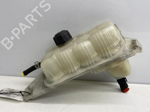 Expansion tank NISSAN JUKE (F15) 1.5 dCi | BP29299381C120 