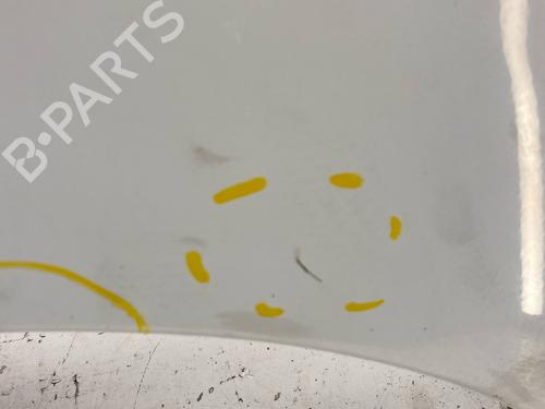 Used Left front fenders Left front fenders CITROËN JUMPY II Van 2.0 HDi 120 (120 hp) 39663090 39663090