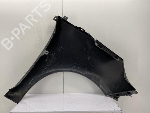 Left front fenders RENAULT SCÉNIC III (JZ0/1_) 1.5 dCi | BP22850581C41 