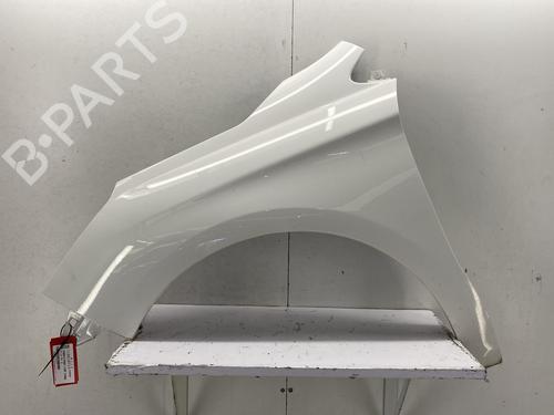 Left front fenders CITROËN C4 II (NC_) 1.6 HDi 90 00007840AS