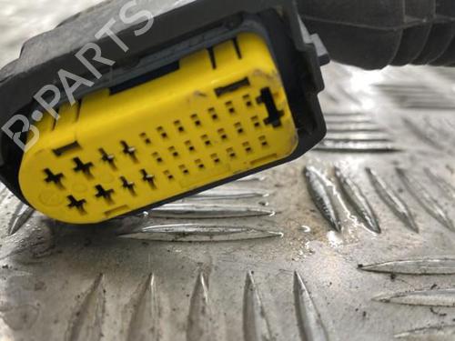 Right rear door RENAULT CLIO III Grandtour (KR0/1_) 1.5 dCi | BP22849253C5 