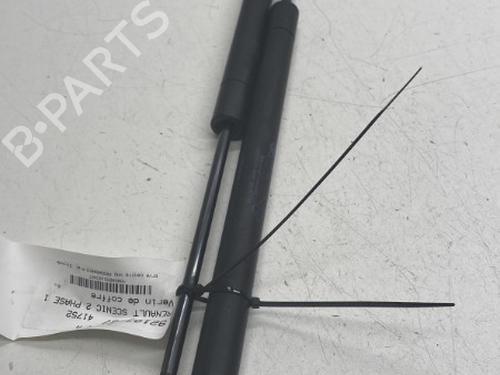 Used Tailgate lift support RENAULT SCÉNIC II (JM0/1_) 2.0 (JM05, JM0U, JM1N, JM1U, JM2V) (135 hp) 22860849