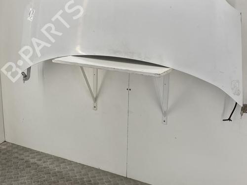 Used Hood RENAULT KANGOO Express (FW0/1_) 1.5 dCi 85 (FW0K, FW0L, FW0B) (86 hp) 22853904