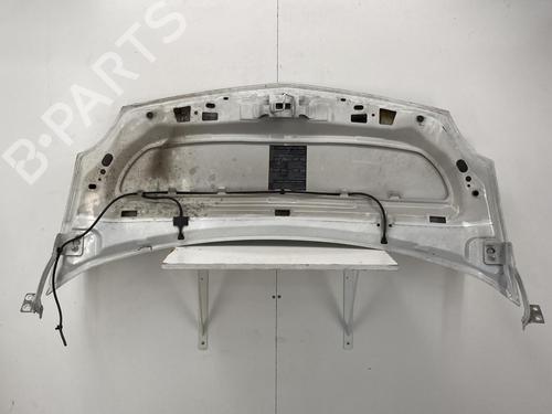 Hood RENAULT KANGOO Express (FW0/1_) 1.5 dCi 85 (FW0K, FW0L, FW0B) | BP22853904C1 