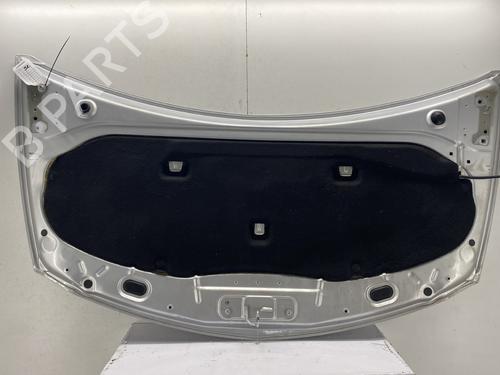 Hood RENAULT CLIO III (BR0/1, CR0/1) 1.5 dCi | BP29139271C1 