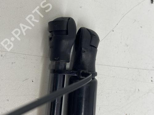 Tailgate lift support RENAULT CLIO V (B7_) 1.5 Blue dCi 85 (B7AG) | BP29968833C138