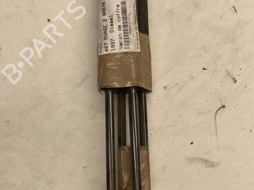 Tailgate lift support PEUGEOT 407 SW (6E_, 6D_) 2.0 HDi 135 | BP22857481C138 