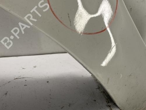 Left front fenders FIAT PUNTO EVO (199_) 1.3 D Multijet (199AXC1A, 199BXC1A, 199AXT1A, 199BXT1A) | BP29375473C41 
